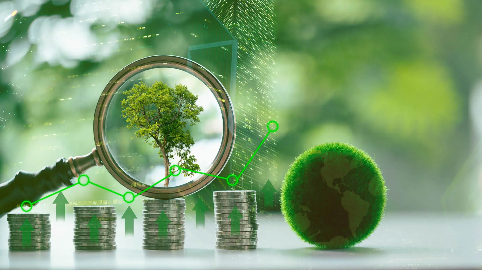 Eco Investment