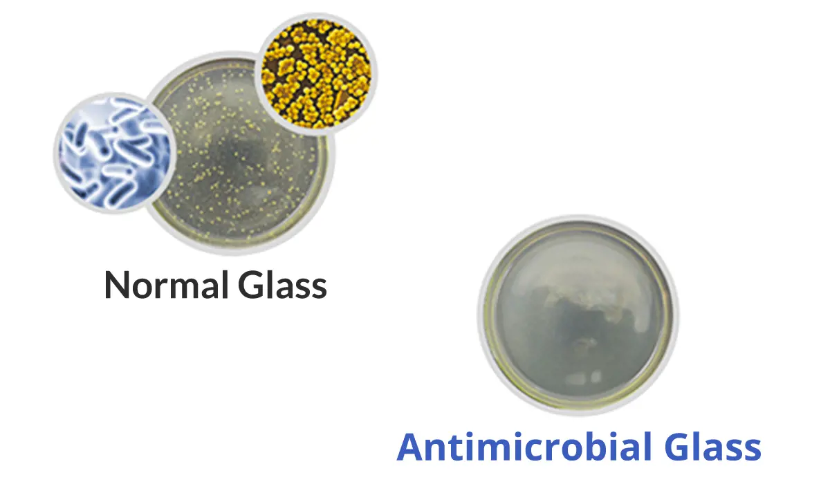 Antimicrobial glass vs regular glass